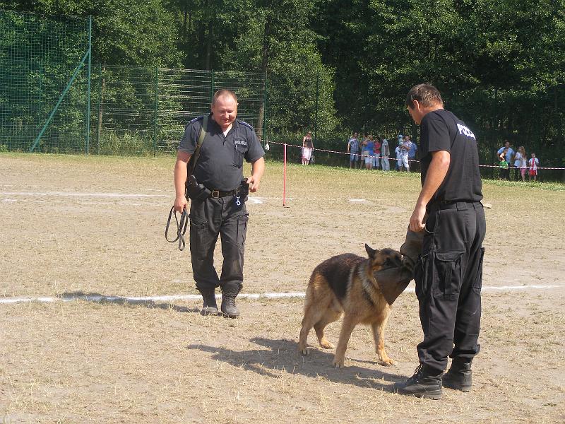 01.07.12r. FESTYN 136
